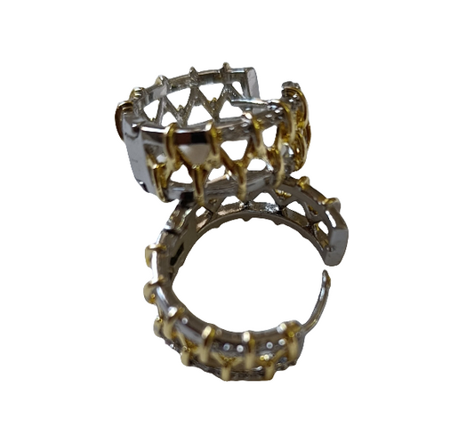 Shadiva Royal Orbit Küpe